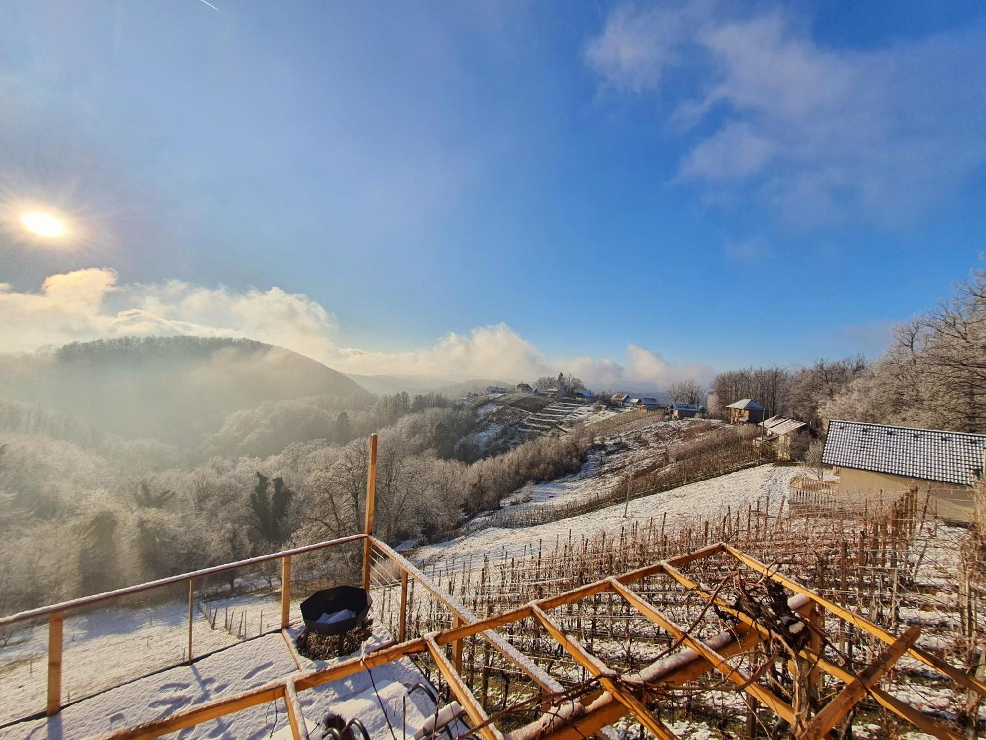 Vineyard Cottage Soncni Gric Trebnje Εξωτερικό φωτογραφία