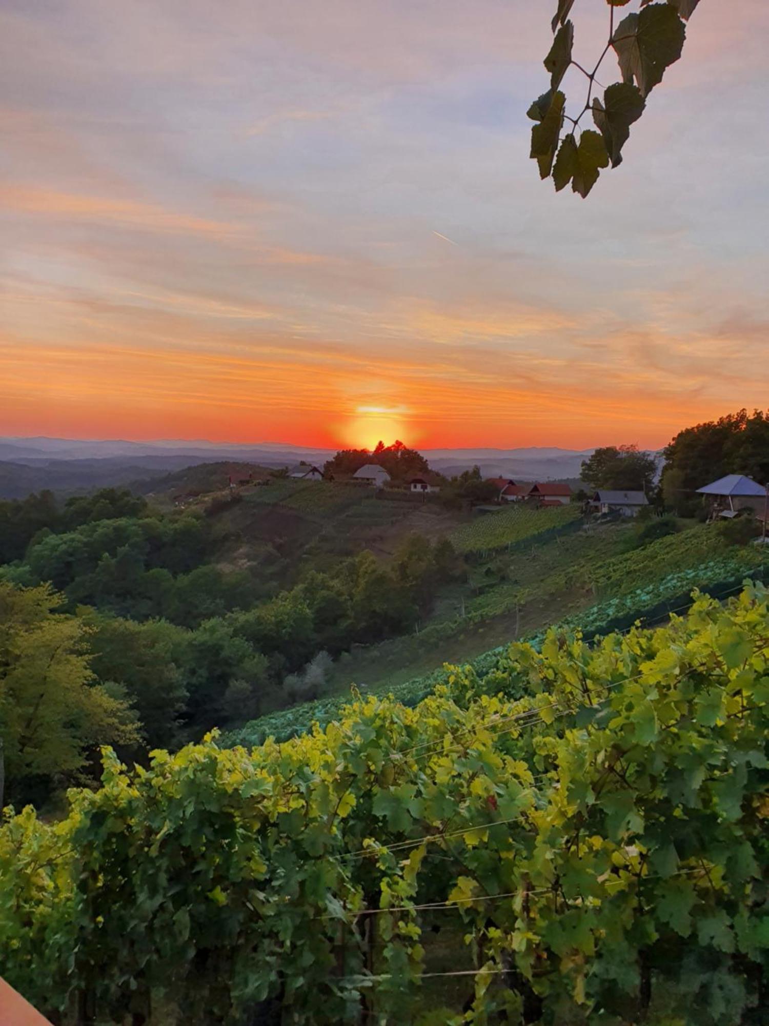 Vineyard Cottage Soncni Gric Trebnje Εξωτερικό φωτογραφία